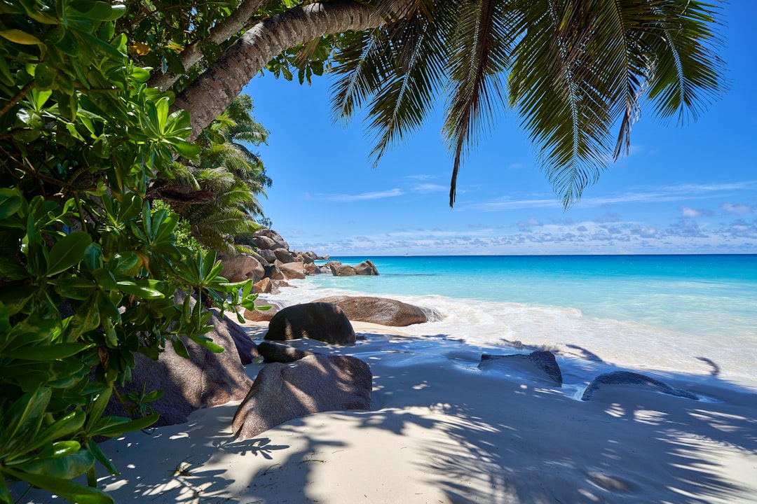 A barefoot ceremony setup on a private Seychelles beach, the arrangement typical of a North Island wedding at low tide.