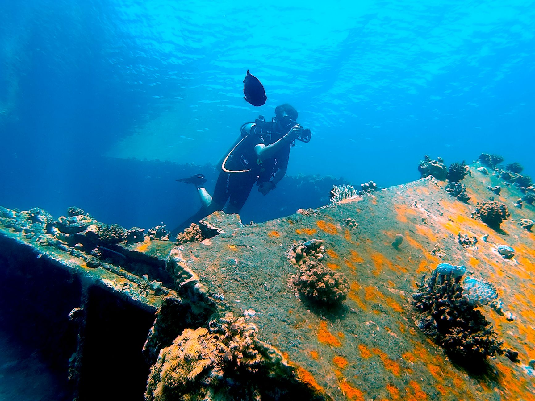 A diver descends past the deck of a WWII wreck in Iron Bottom Sound, north of Guadalcanal.