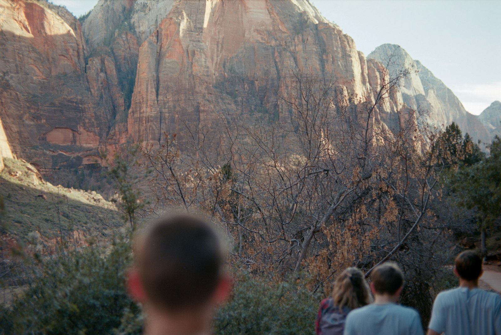 A family walking a paved trail beneath Zion National Park's red sandstone cliffs