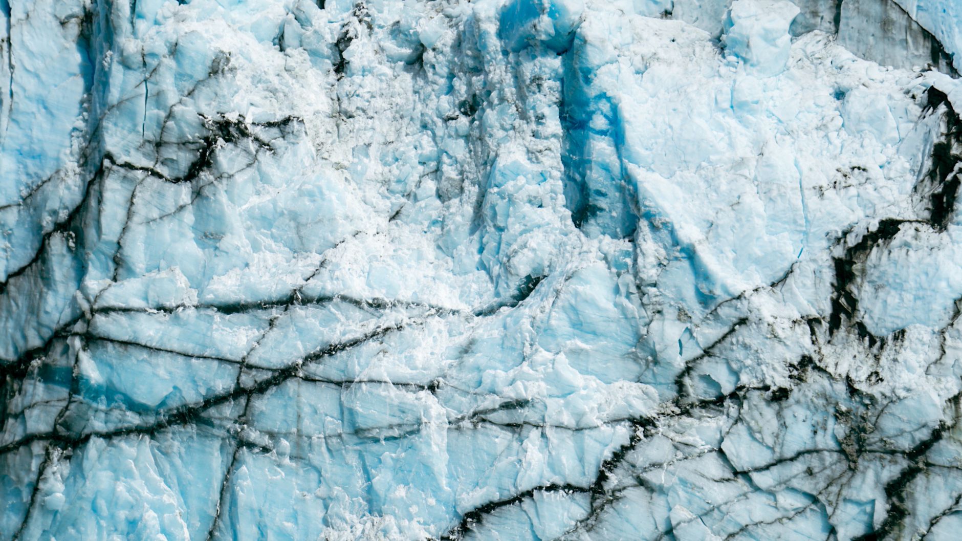 A glacier face near the head of Cierva Cove, the source of much of the cove's floating ice.