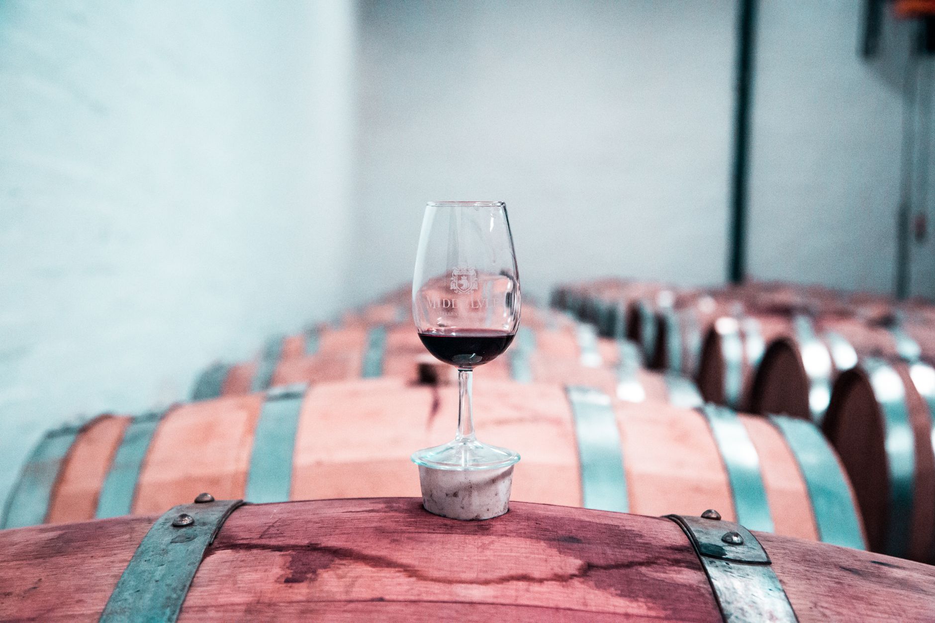 A glass of Pinotage, the grape most closely associated with Stellenbosch cellars, set against budding vines.