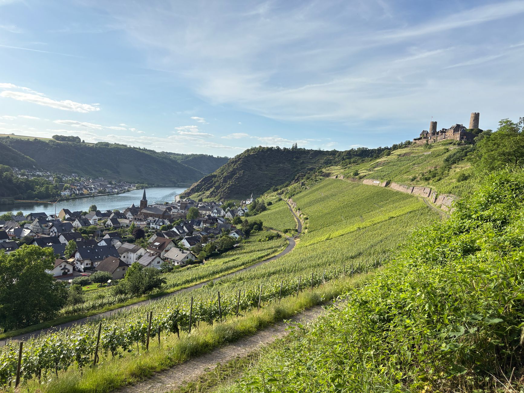 Aerial view of the Rhine Gorge with a hilltop castle and spring vineyards