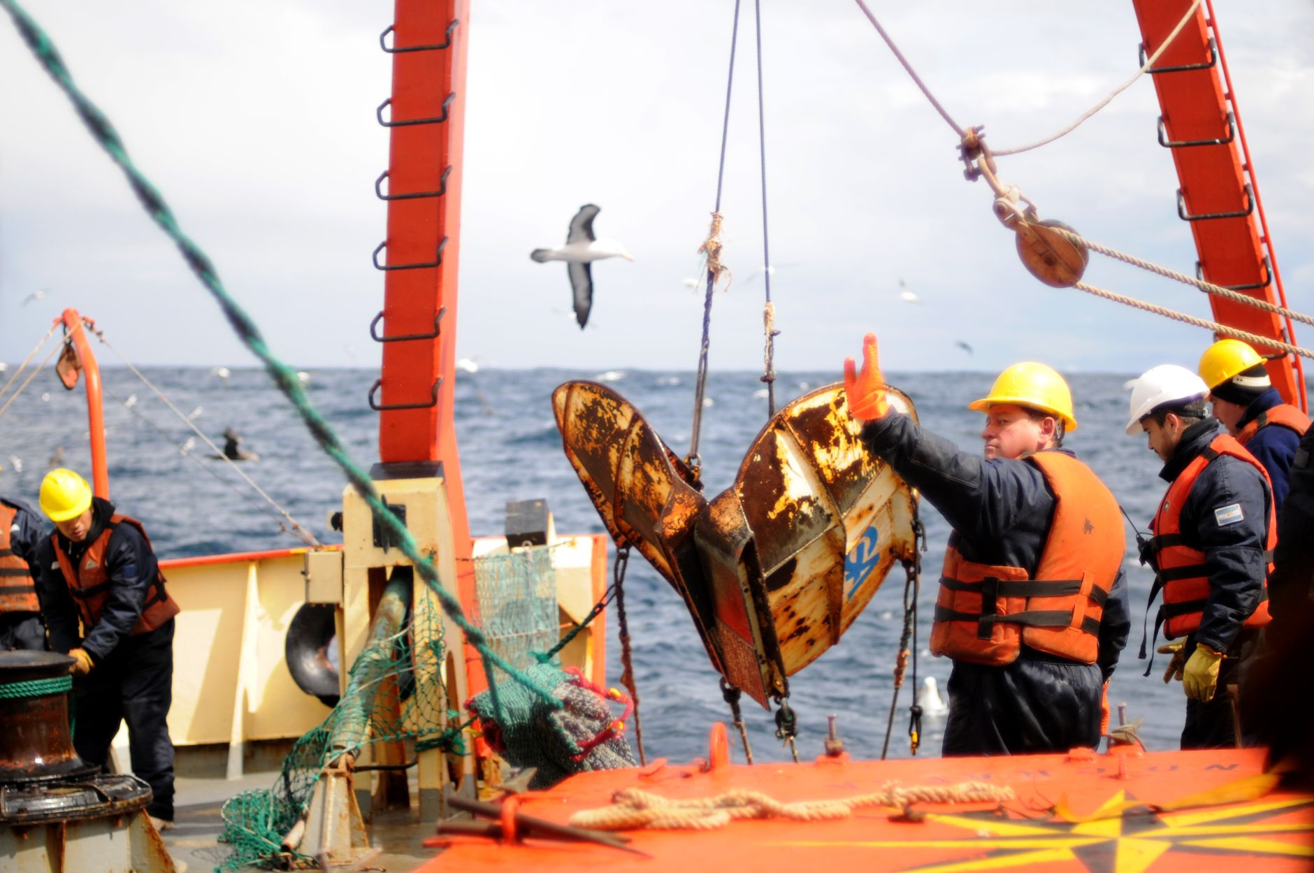 Day 2 – Into the Drake: Swells, Lectures, and the First Albatross