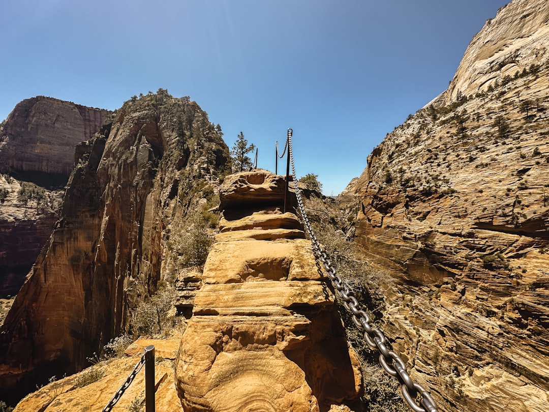 Zion Canyon — The Narrows and Angels Landing