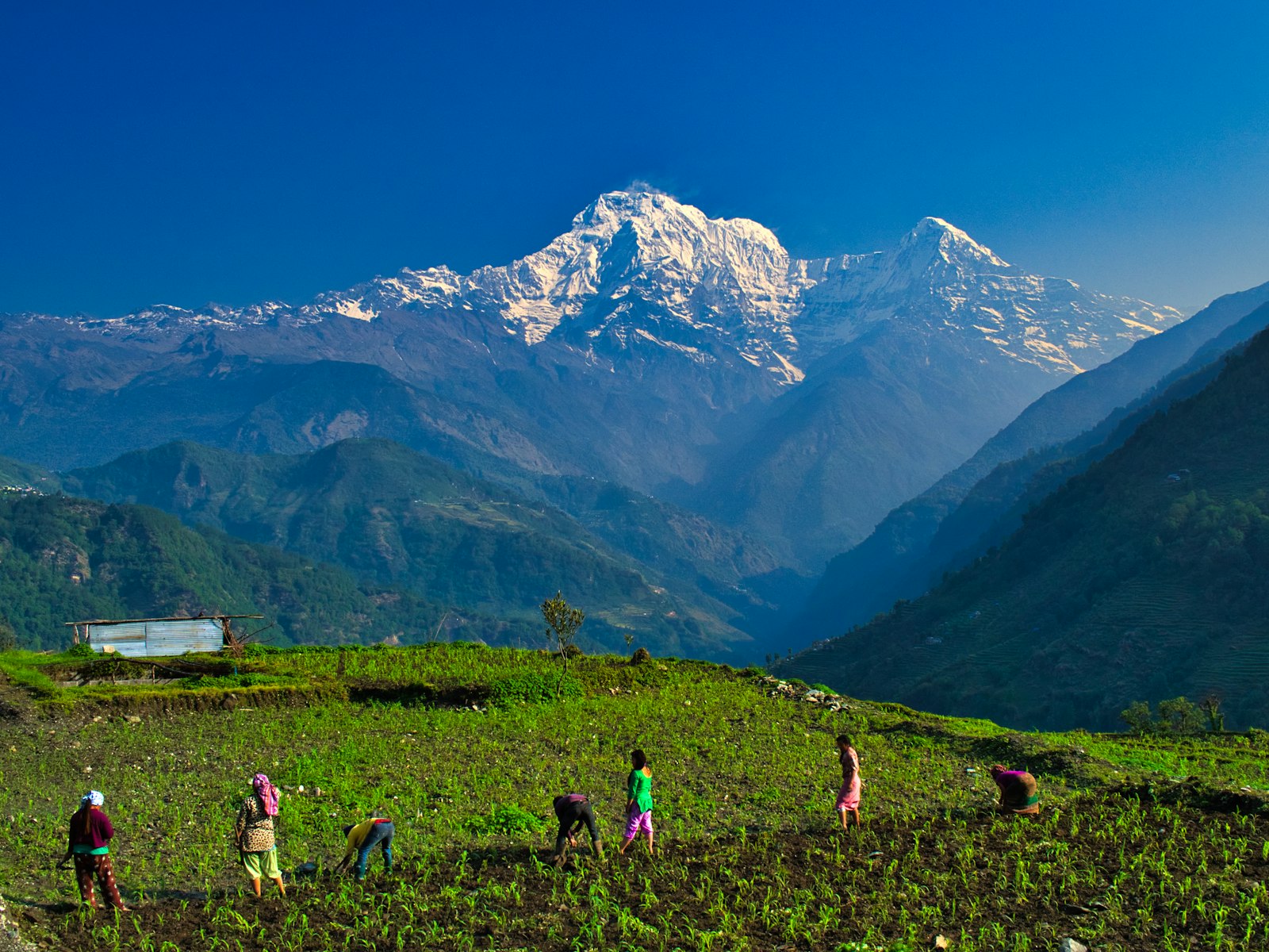 Annapurna Sanctuary, Nepal
