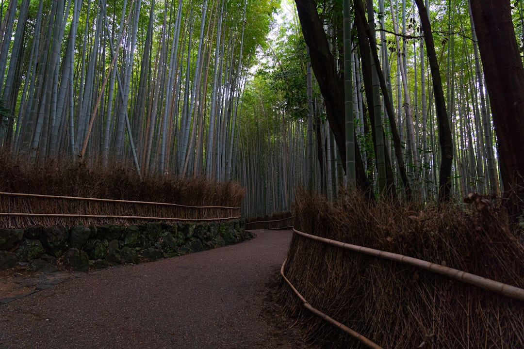 Arashiyama Before the Day-Trip Buses Arrive