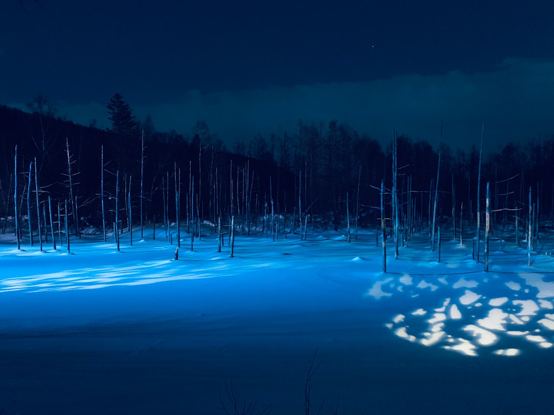 The Blue Pond Lit Up Against Snow in Biei