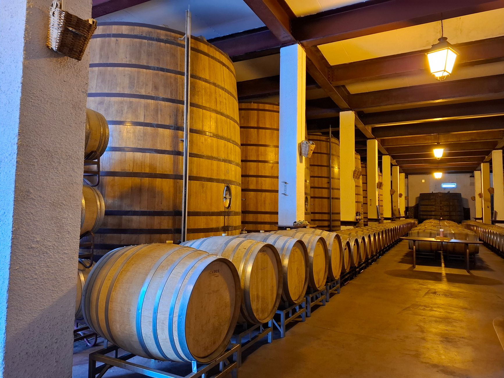 Recovery Brunch and a Guest Wine Tour