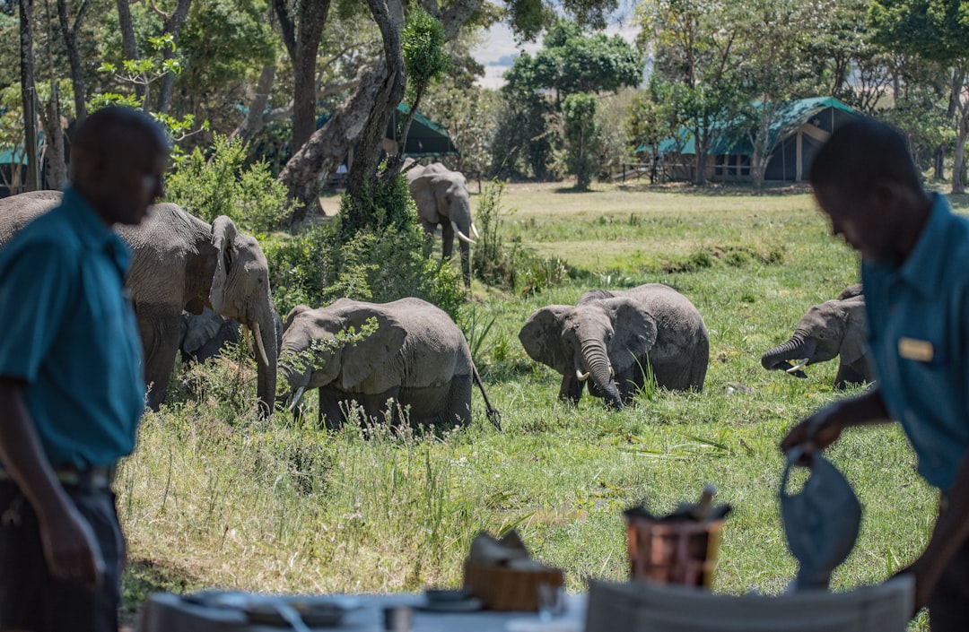 A Full Day Tracking Leopards and a Private Bush Breakfast