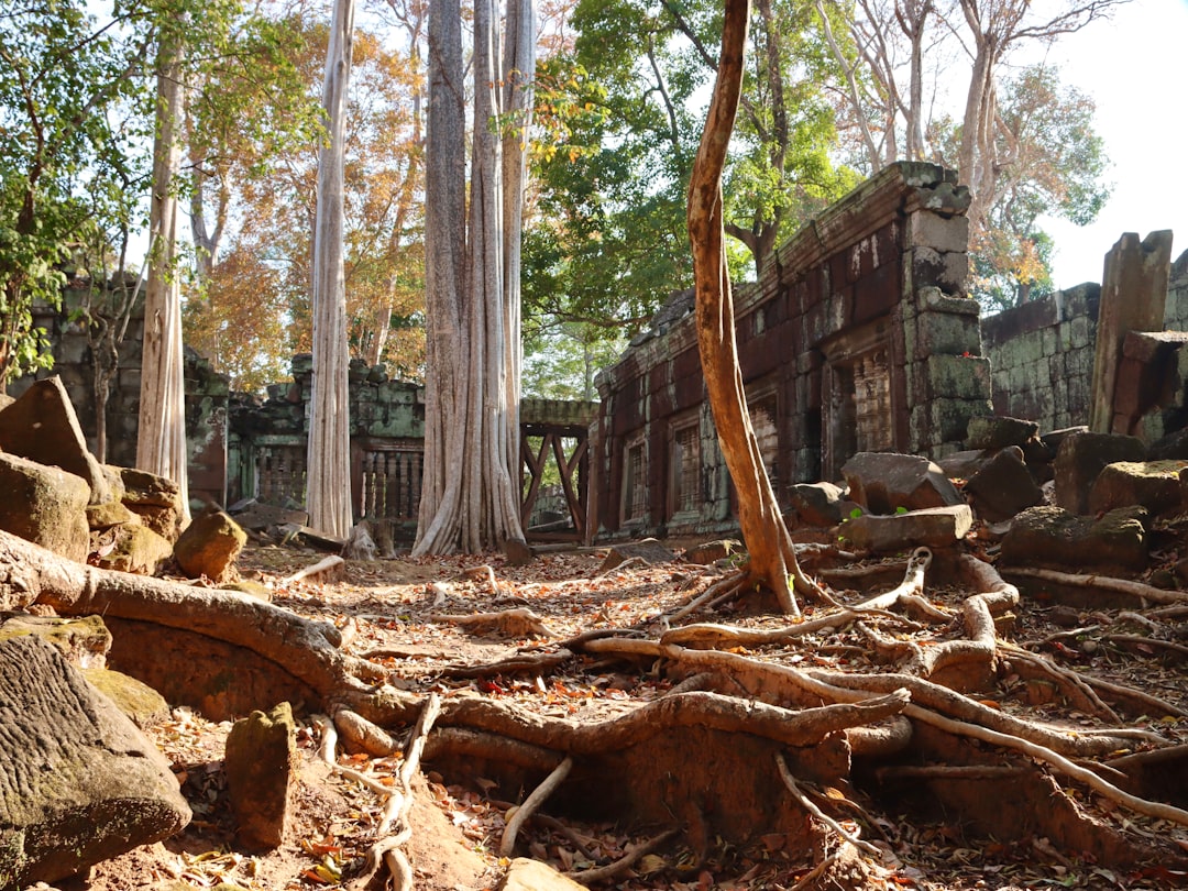 Cambodia Landmine Museum for Older Kids and Teens