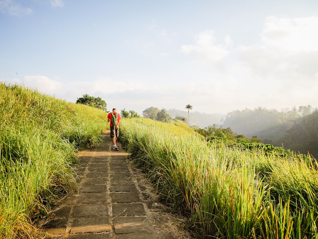 The Campuhan Ridge Walk at First Light