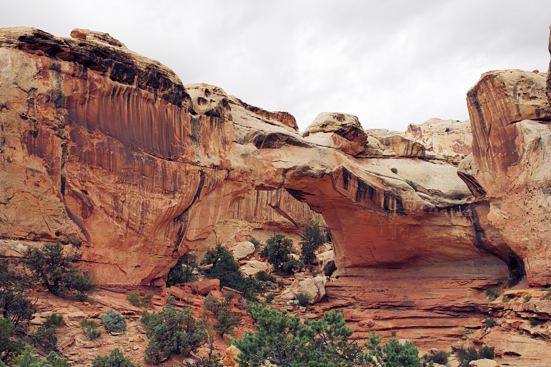 Bryce Canyon and Capitol Reef — Hoodoos to Waterpockets