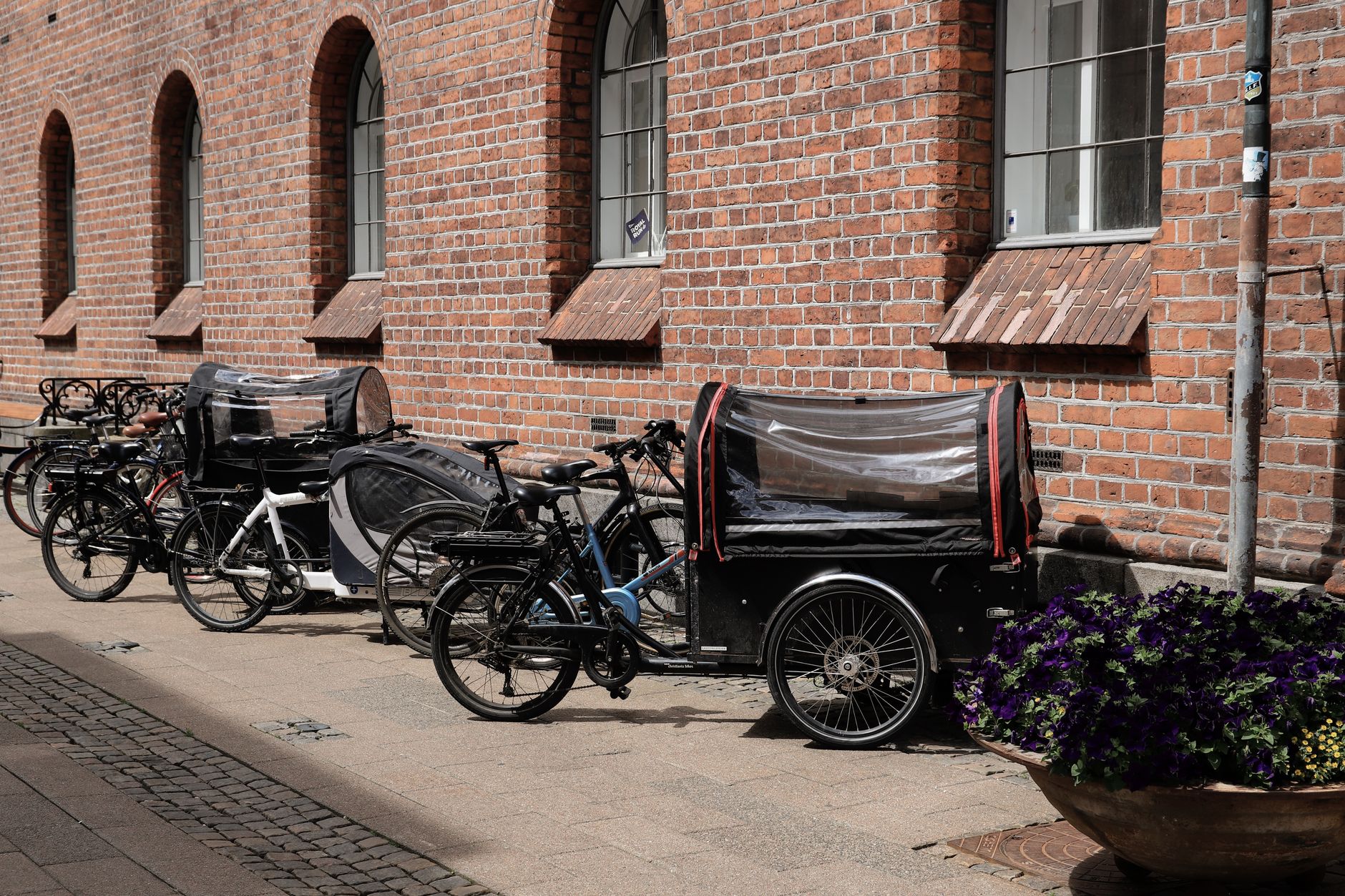 Renting a Christiania Cargo Bike