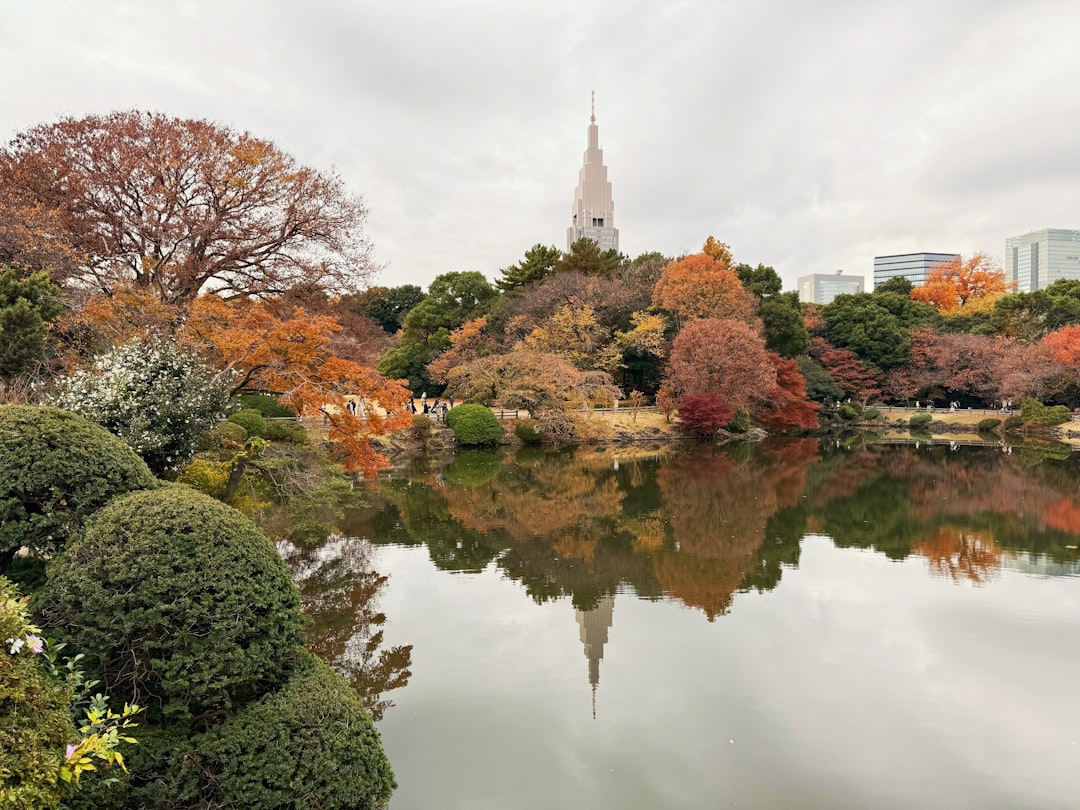 Chrysanthemum displays at Shinjuku Gyoen in late November.