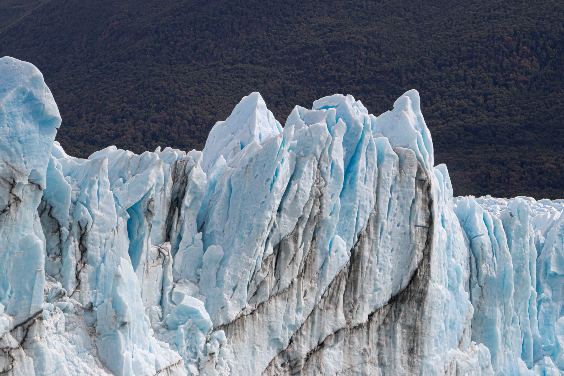 Compressed blue ice at the face of Grey Glacier.