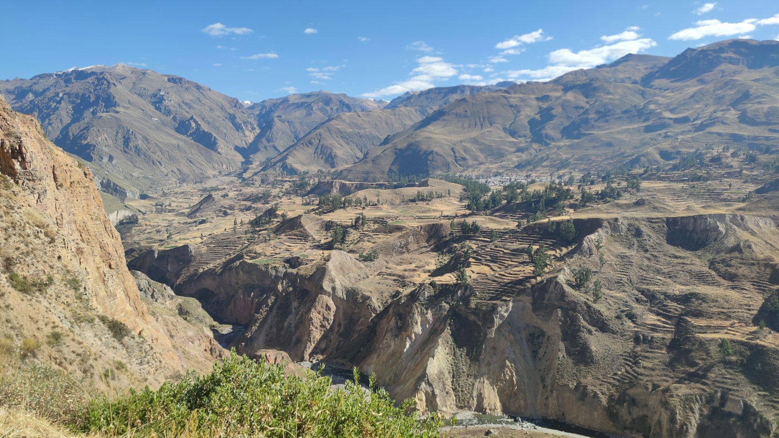 Condors are regularly spotted riding thermals above the Apurímac canyon near Choquequirao.