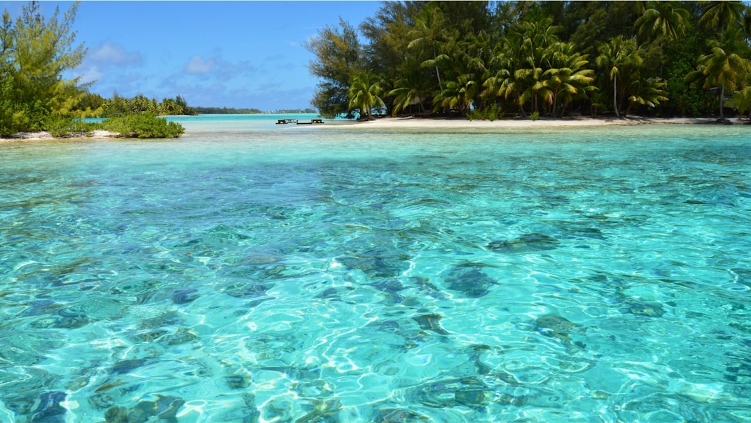Coral Garden's shallow channel is where most resorts run their morning snorkel excursions.