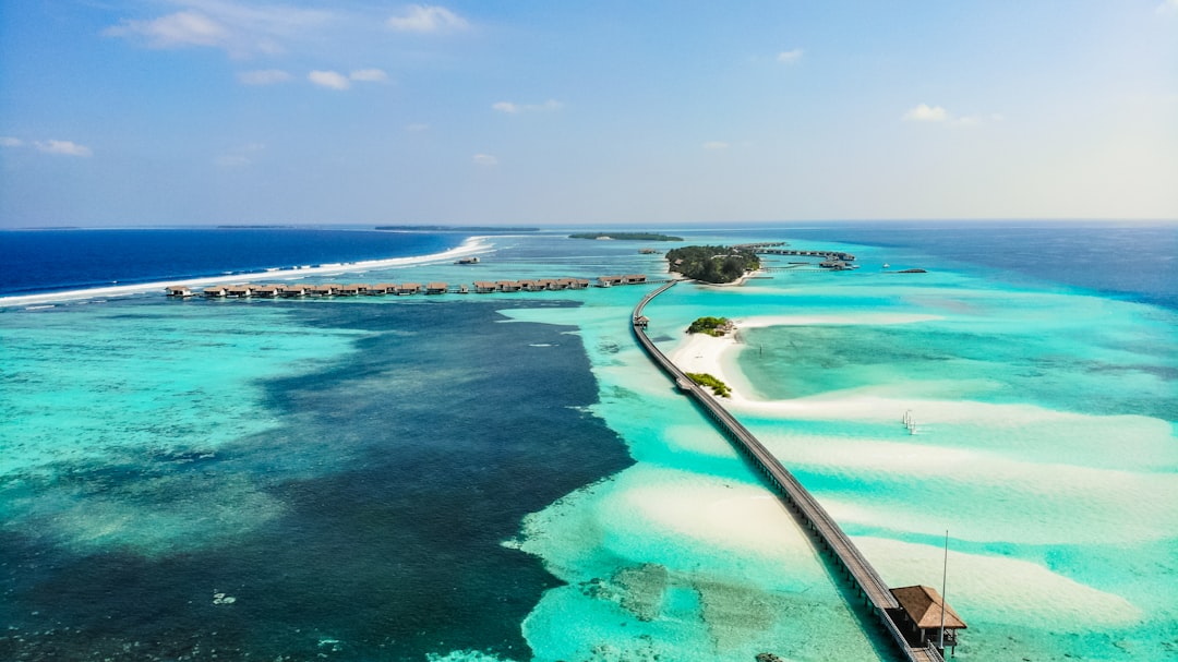 Daily-caught seafood prepared by world-class chefs defines the culinary experience