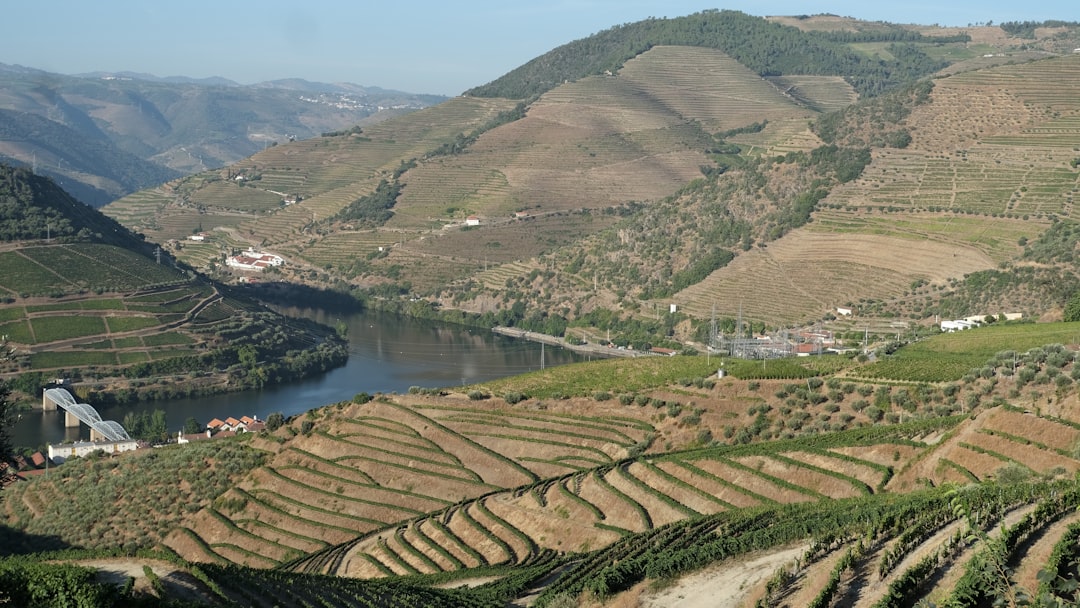 A Day Trip into the Douro Valley