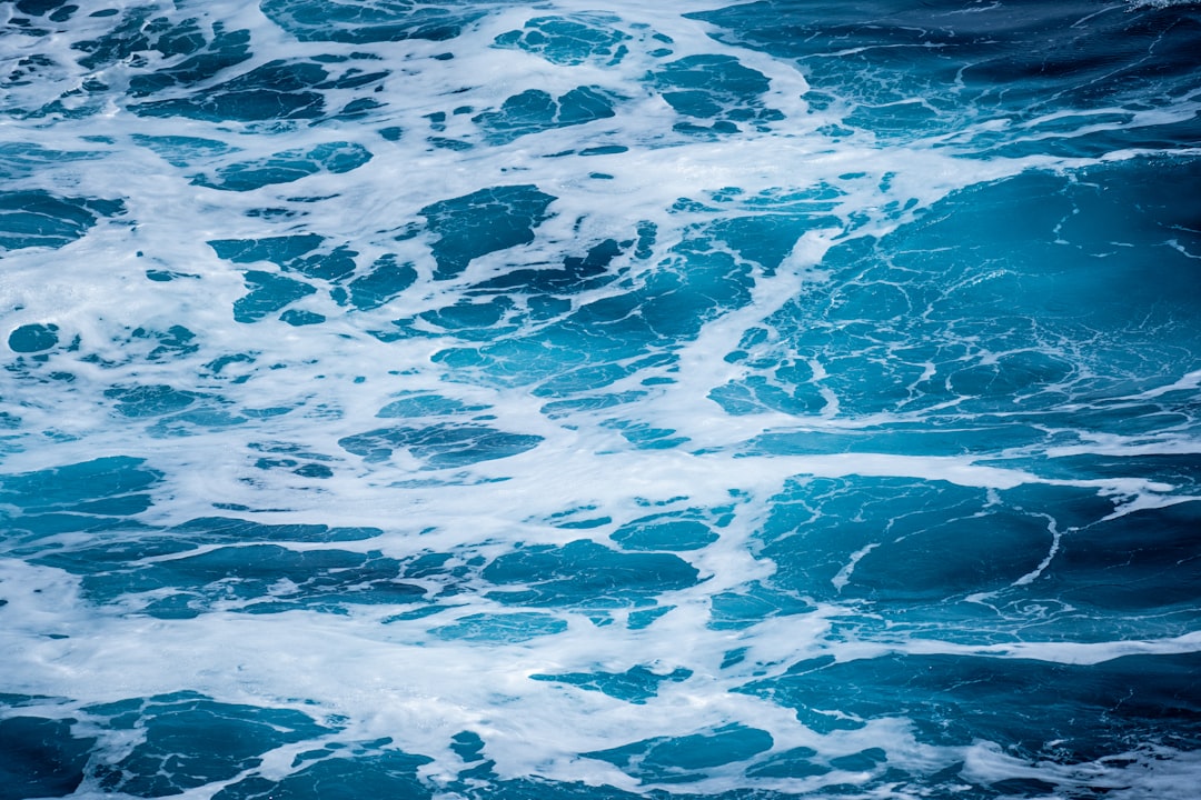 Two Rolling Days on the Drake Passage and a Cold-Water Rescue Drill