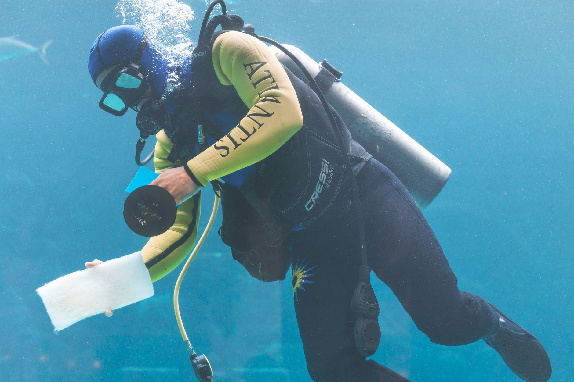 Drysuit divers explore beneath the pack ice on select Oceanwide Expeditions voyages.
