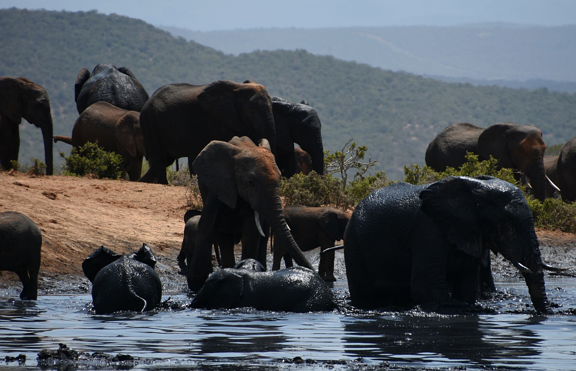 Elephants cross the Sand River, one of the few permanent water sources animals rely on through the dry winter months.