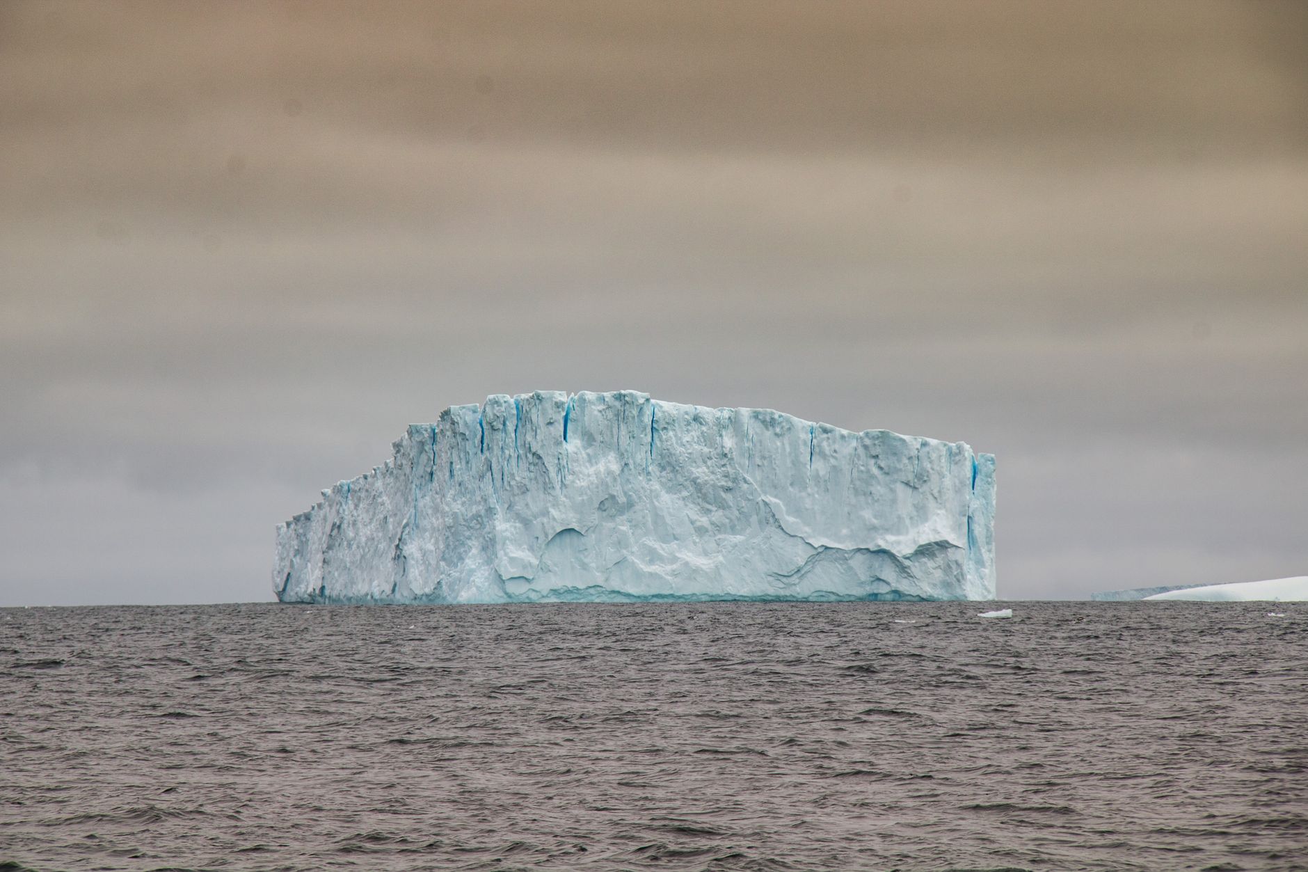 Flat-topped tabular icebergs, calved from the Larsen Ice Shelf, drift through Antarctic Sound, the gateway most ships use to enter the Weddell Sea.