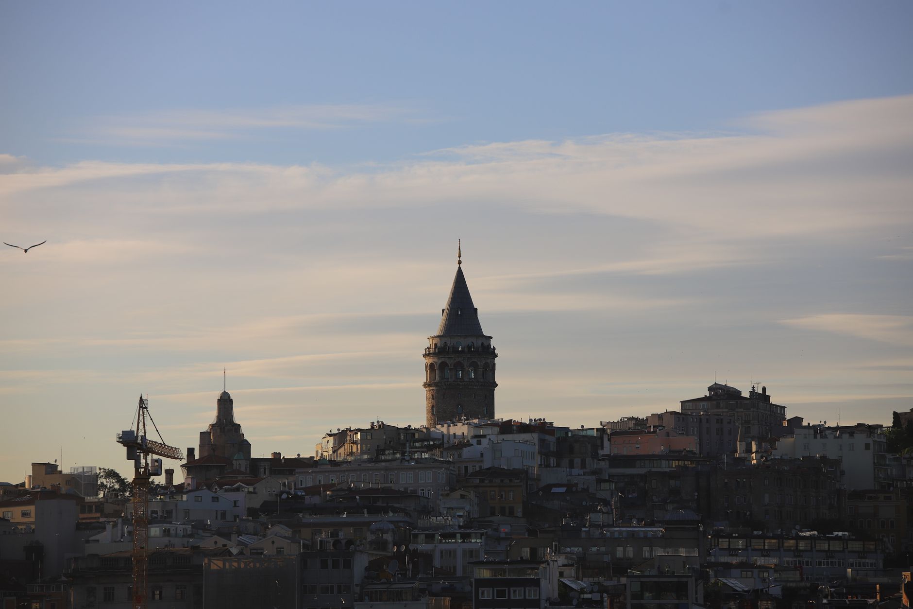 Take the Galata Tower at Opening, Before Anyone Else Is Awake