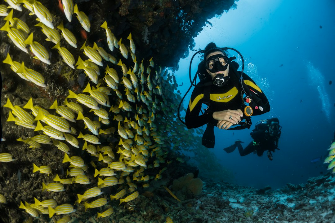 Drift Diving the Outer Channels