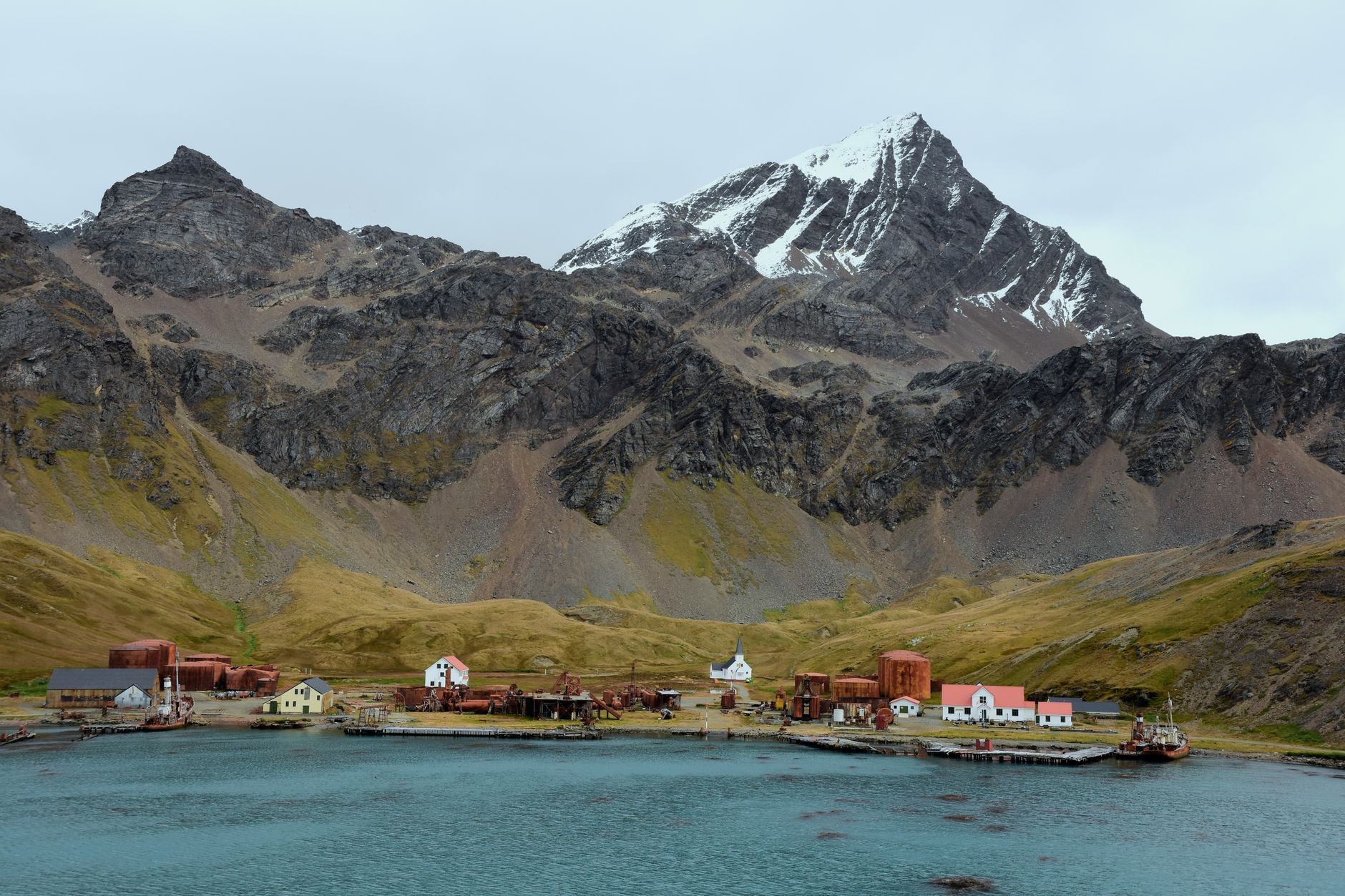 Grytviken: Museum, Grave, and the Toast to the Boss