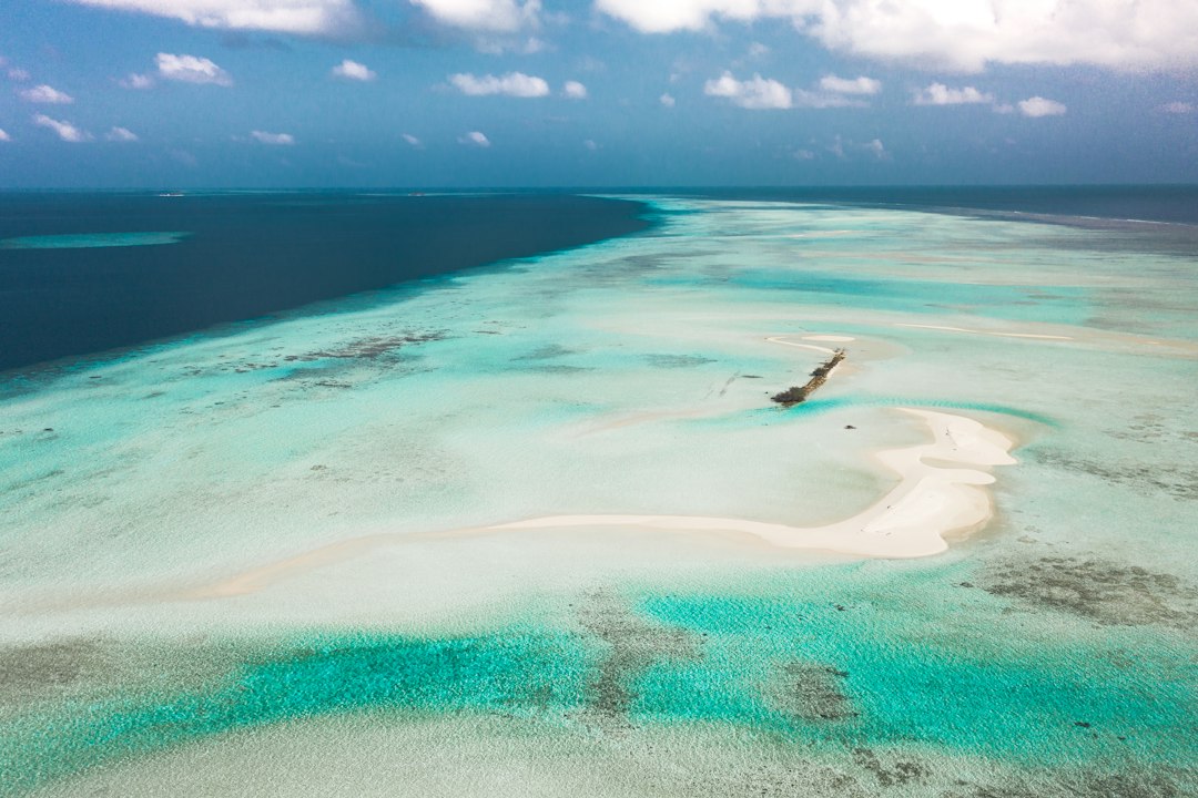 Wade the House Reef for Turtles at Low Tide