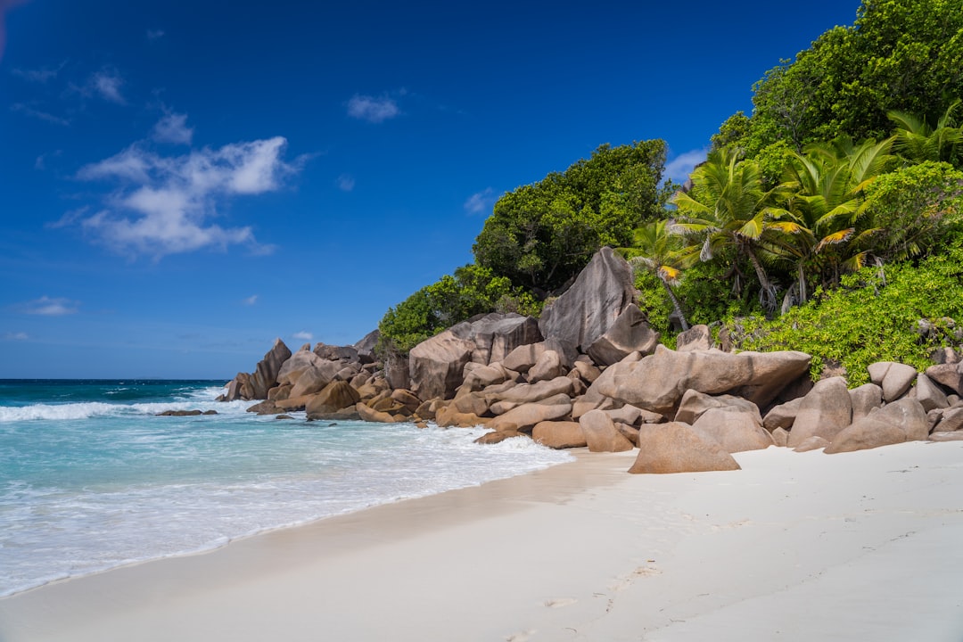 Hawksbill turtles nest on Seychelles beaches roughly October through March, drawing guests out for early guided walks.