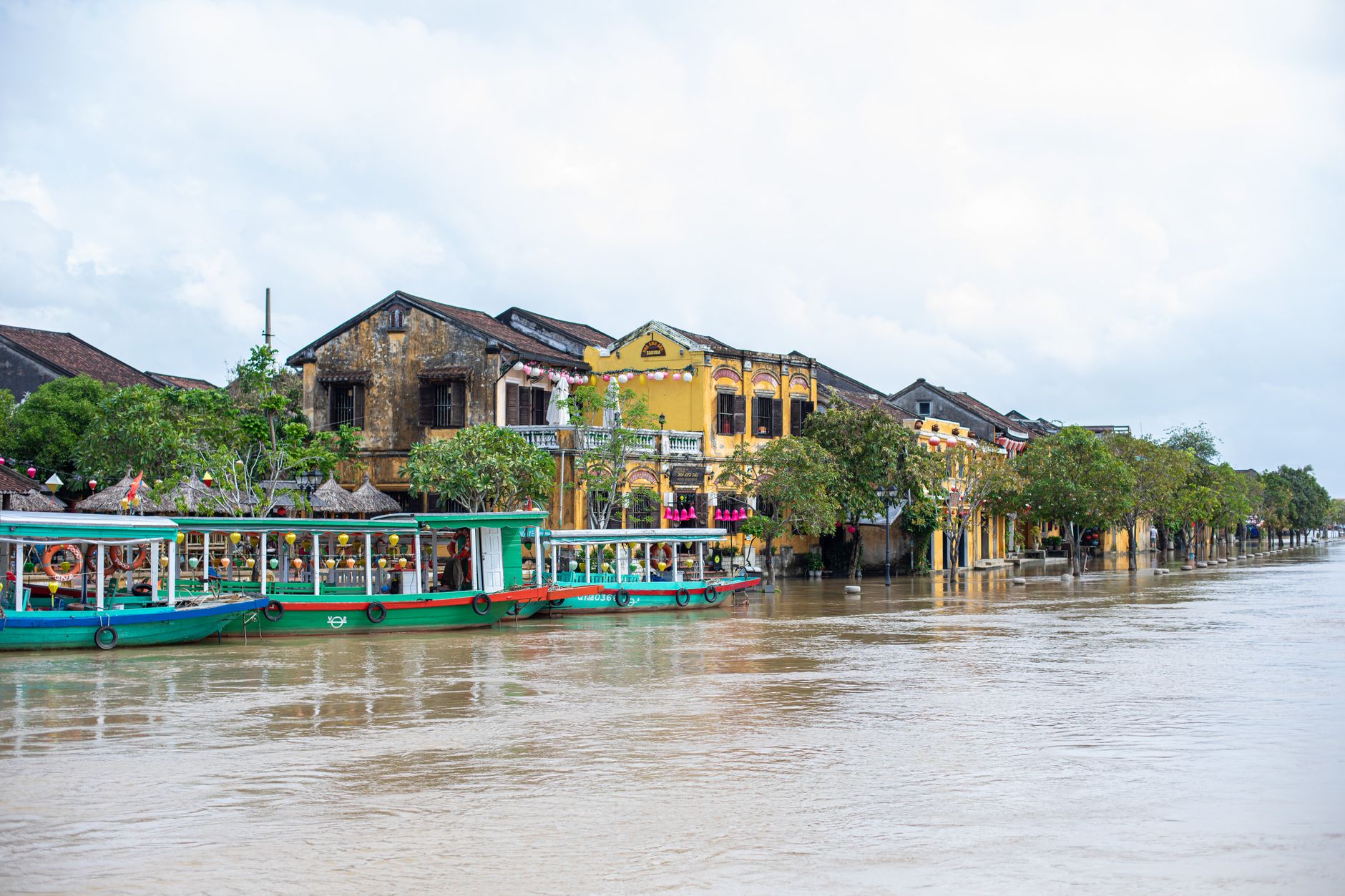The Flood, the Cham Islands, and a Night I Didn't Expect