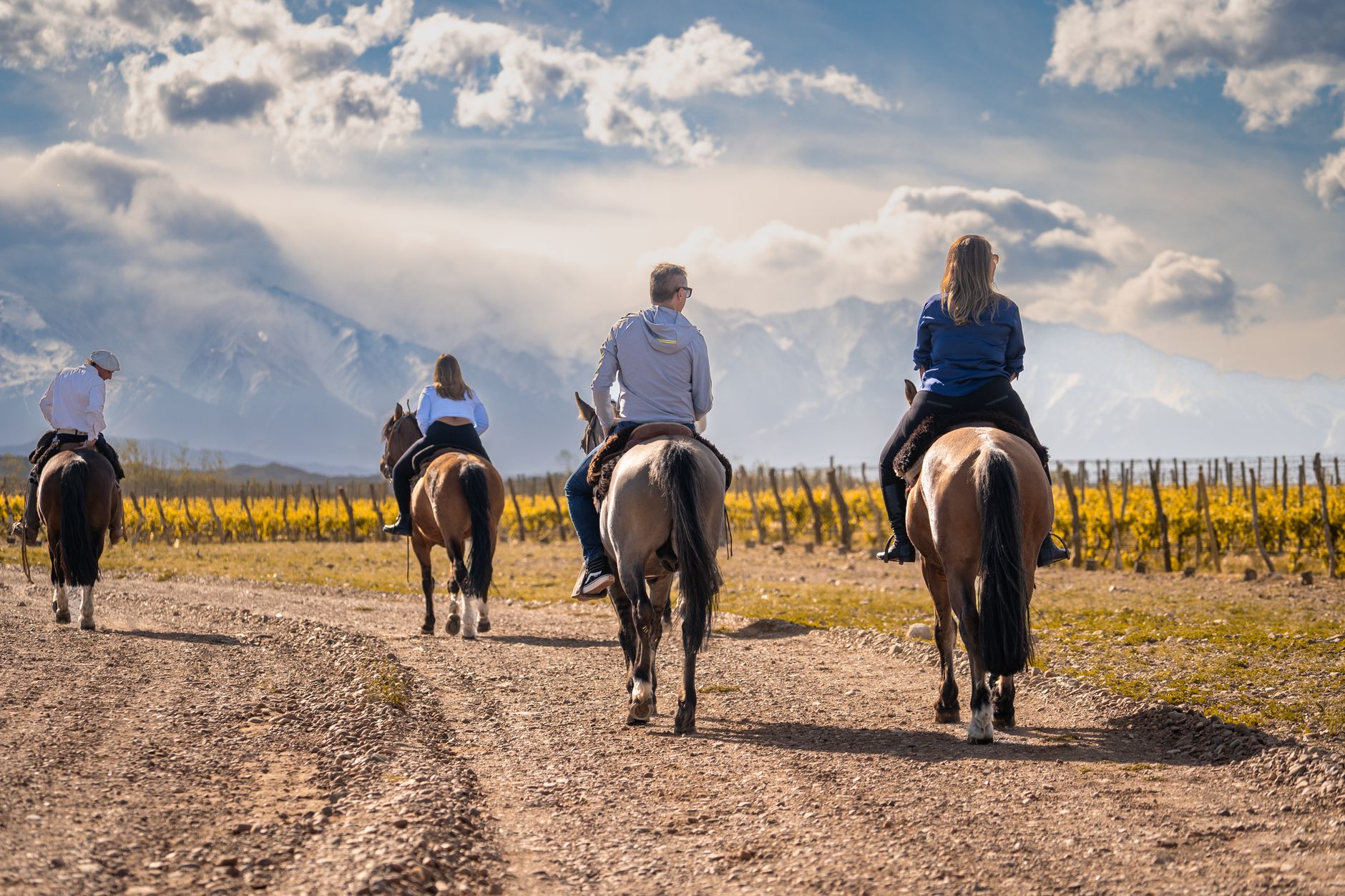 Horseback Among the Rows, Then a Blending Session Above San Pablo
