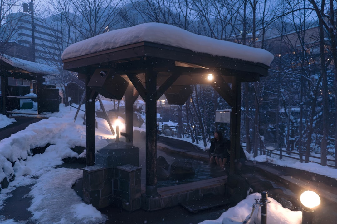 Hot spring bathing—traditional onsen or modern sentō bathhouses—reaches peak comfort in winter cold.