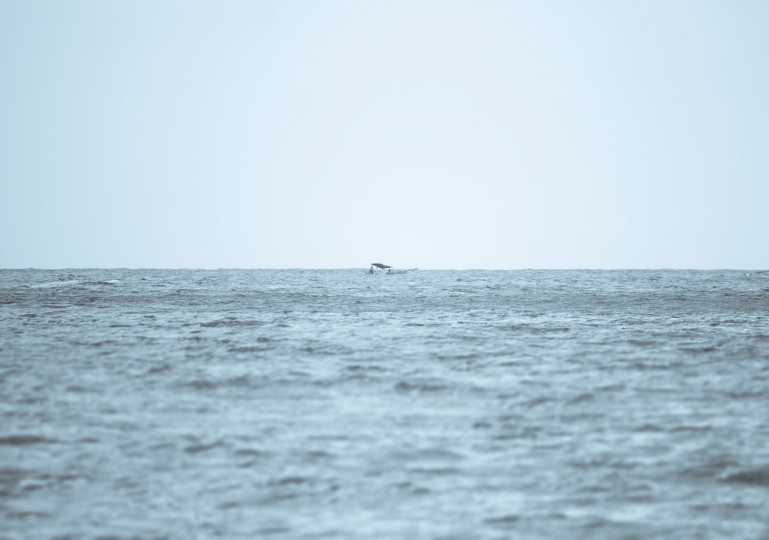 Humpback whales migrate through Caribbean waters during winter months