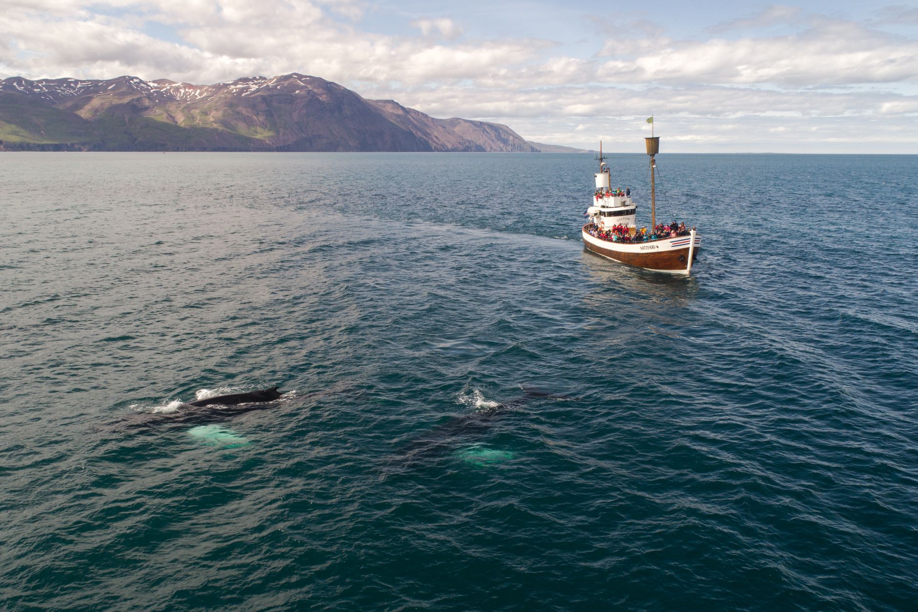 Akureyri, whales off Húsavík, and the long run back toward Reykjavík