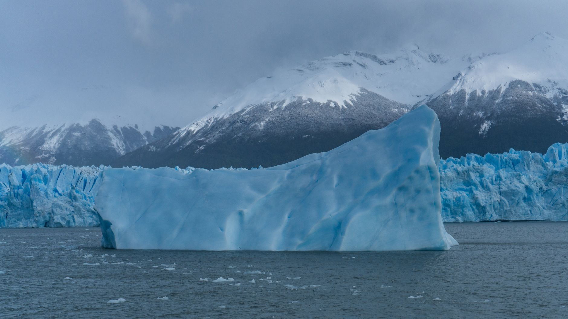Icebergs calved from Glaciar Grey drift across the lake below the two Mirador Grey viewpoints.