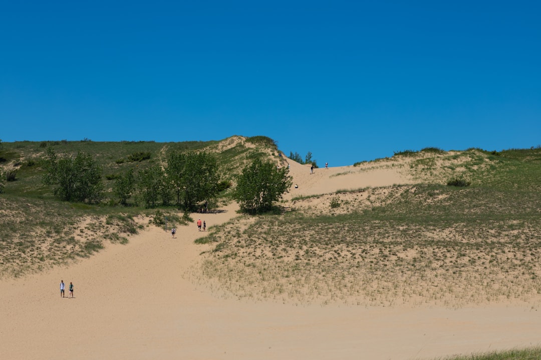 Jockey's Ridge State Park in Nags Head, where hang-glider pilots have trained on the dune for decades.