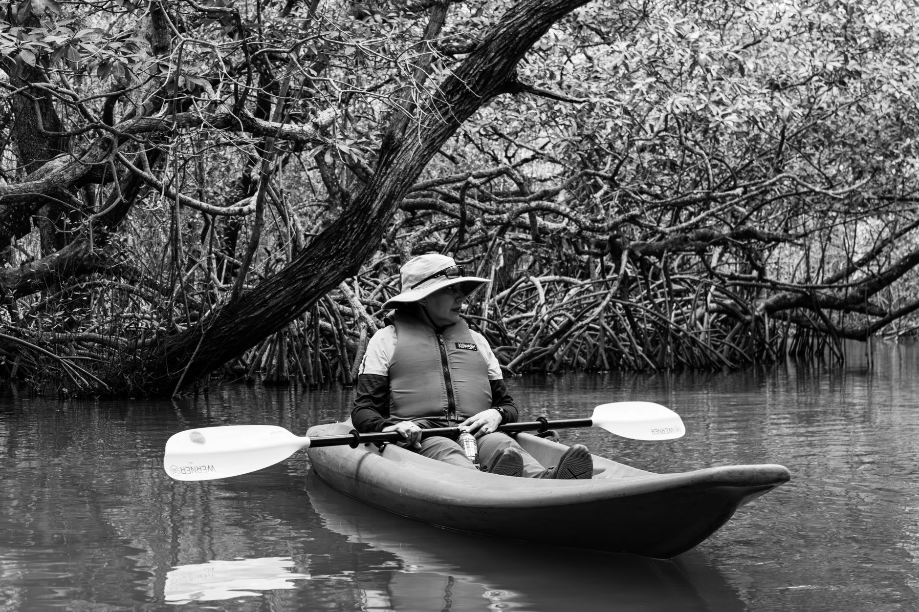 Kayaking the mangrove channels near Sungei Buloh, where the route shifts with the tide.