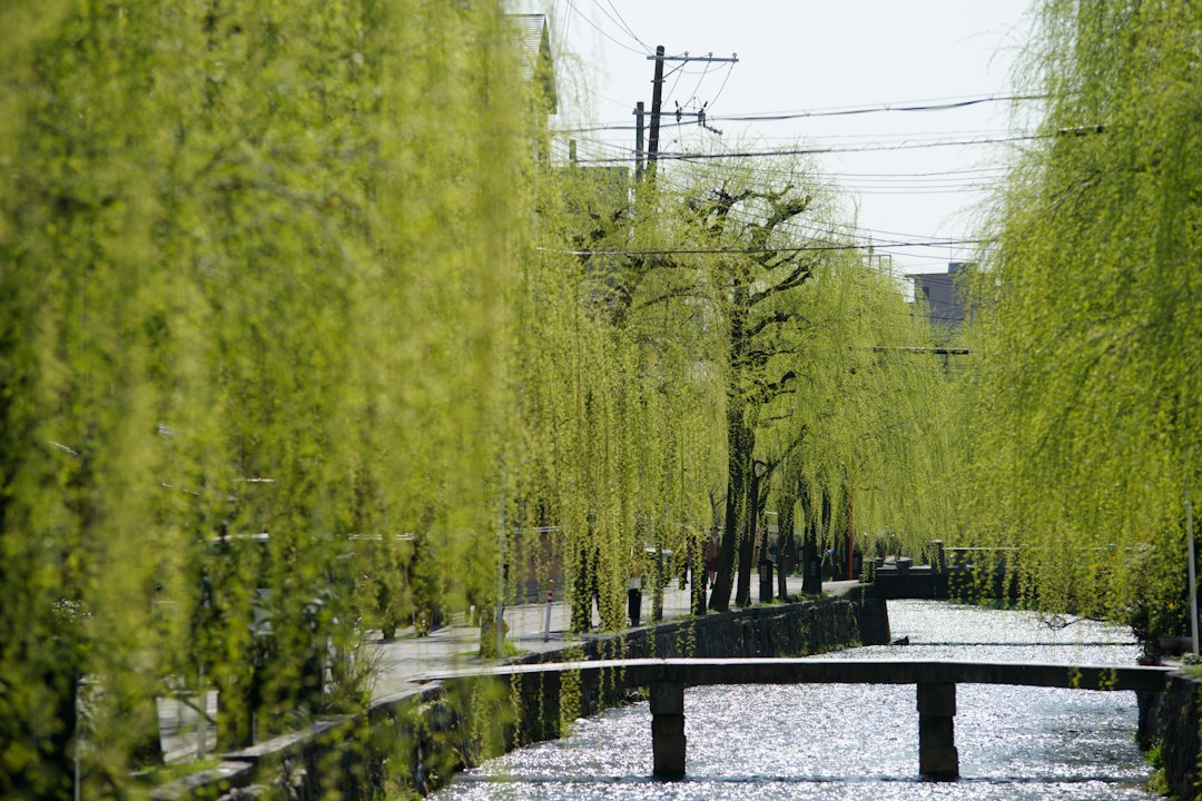 A Yukata-Clad Soak Through Kinosaki Onsen's Seven Bathhouses