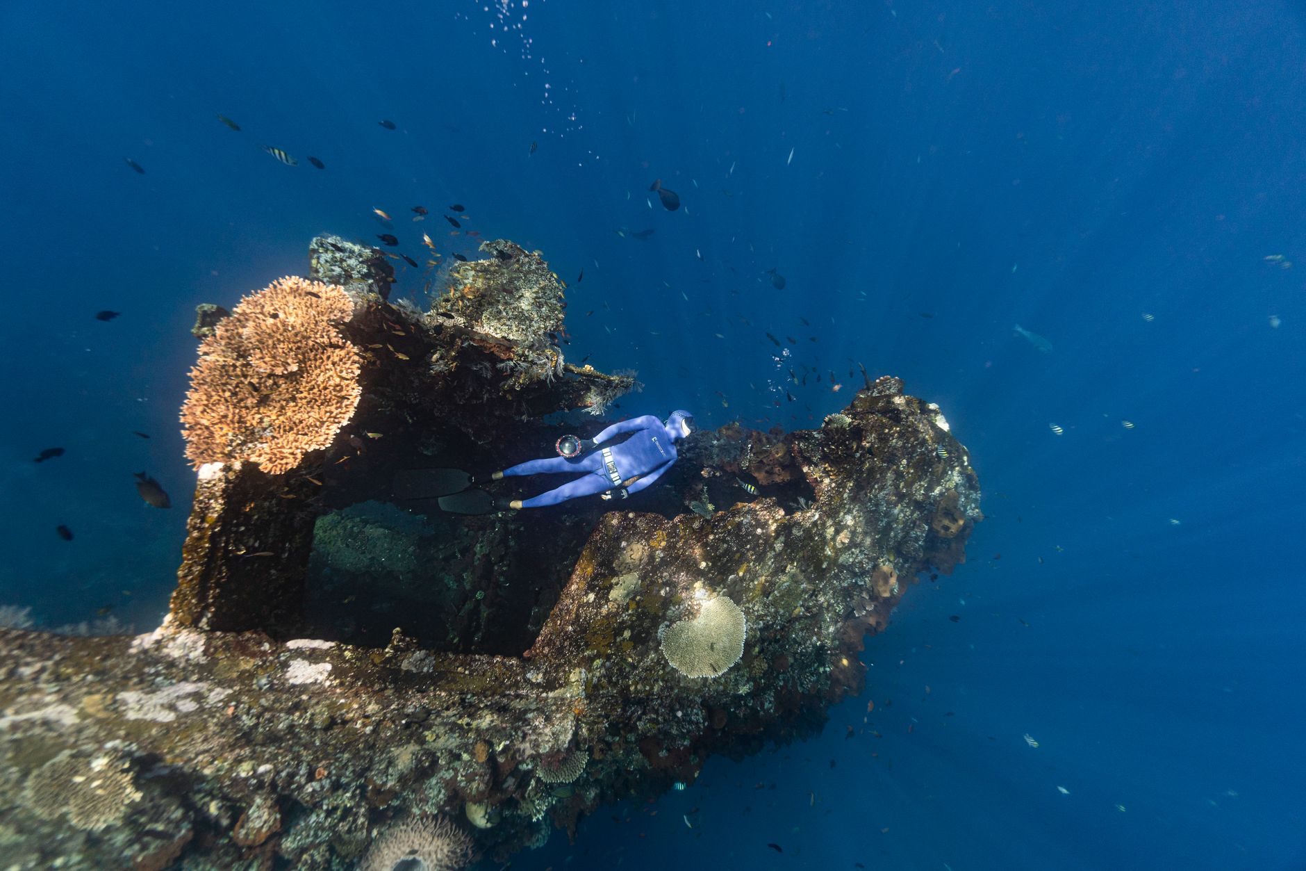 Into Iron Bottom Sound: Wrecks at Bonegi Beach