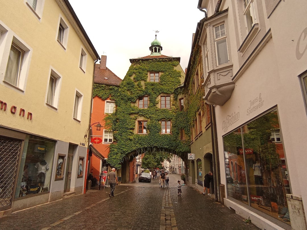 Krems Arrival and the Valley's First Vineyard Views