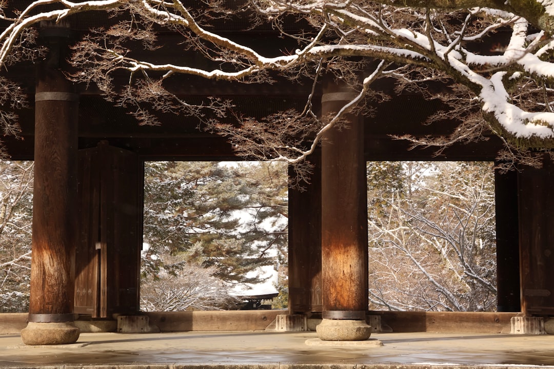 Settling Into Nishijin: Textile Alleys and a Frozen Imperial Palace Park