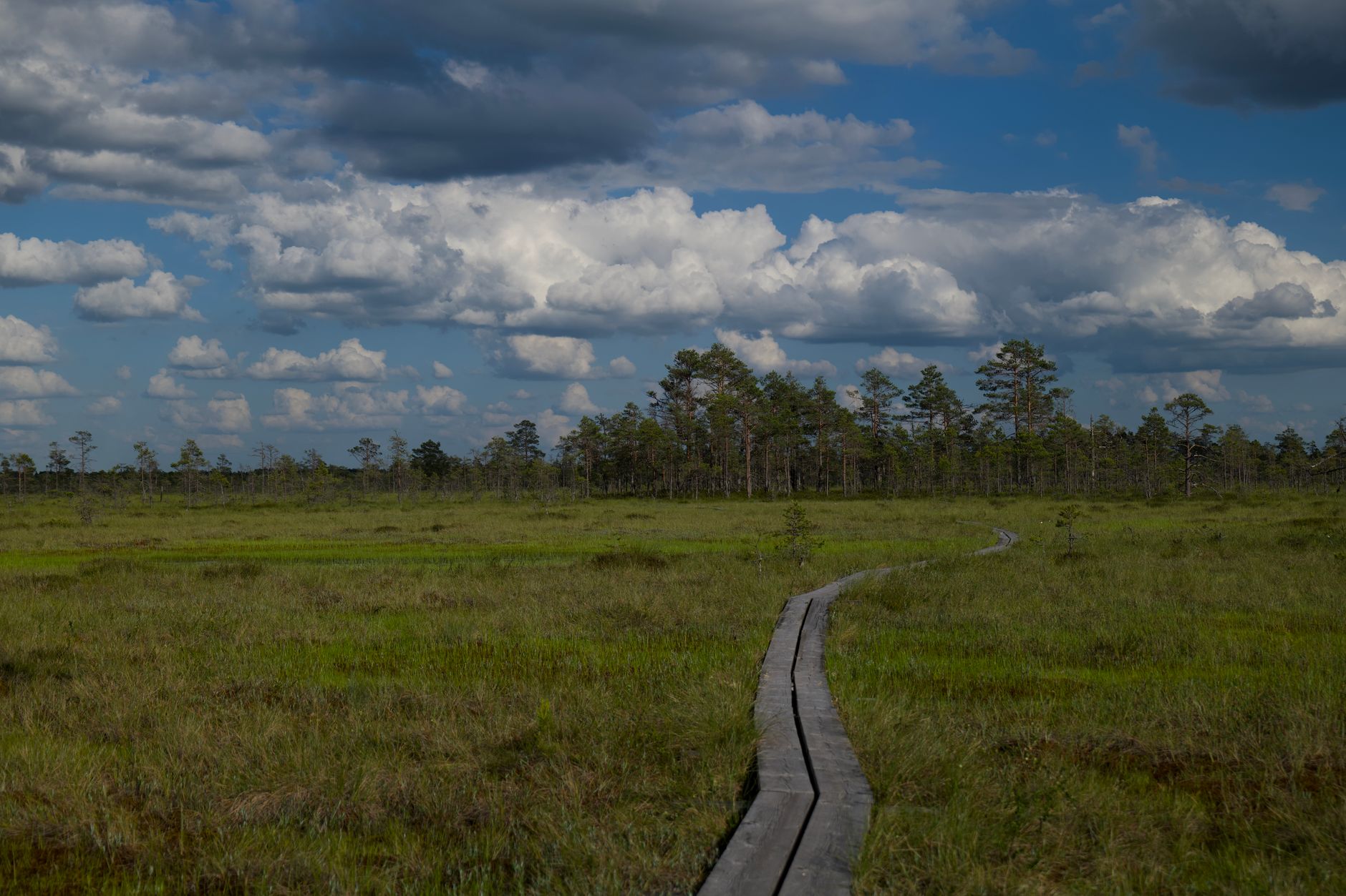 Beyond the Walls: Coast, Bogs, or a Ferry to Helsinki
