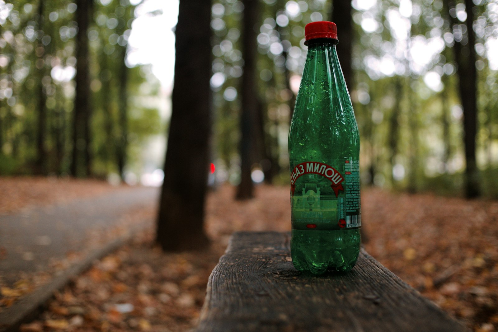 Šljivovica appears early and often, poured without much ceremony.