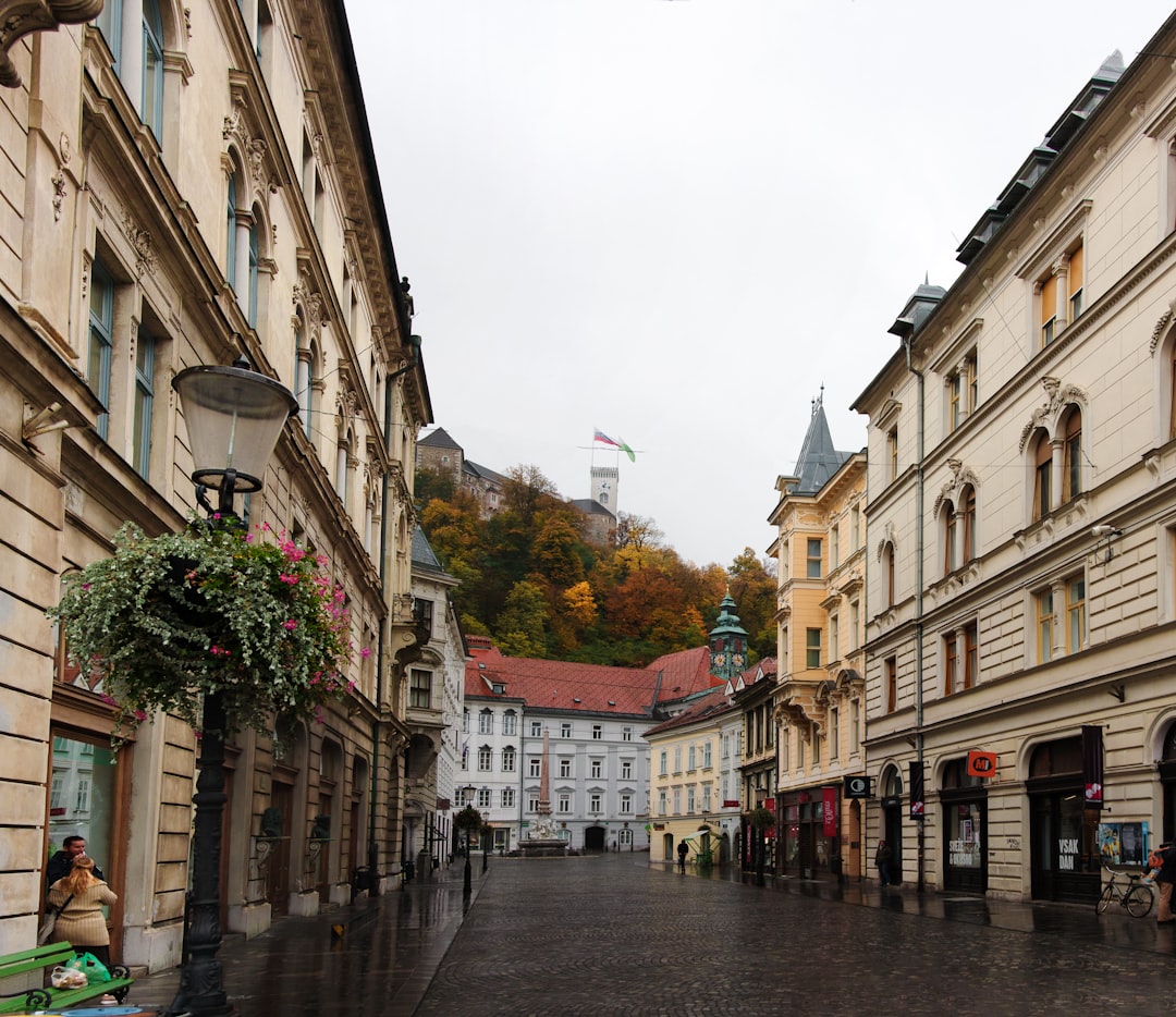 Ljubljana Castle sits on a hill above the Old Town, reachable by funicular or a 15-20 minute walk.