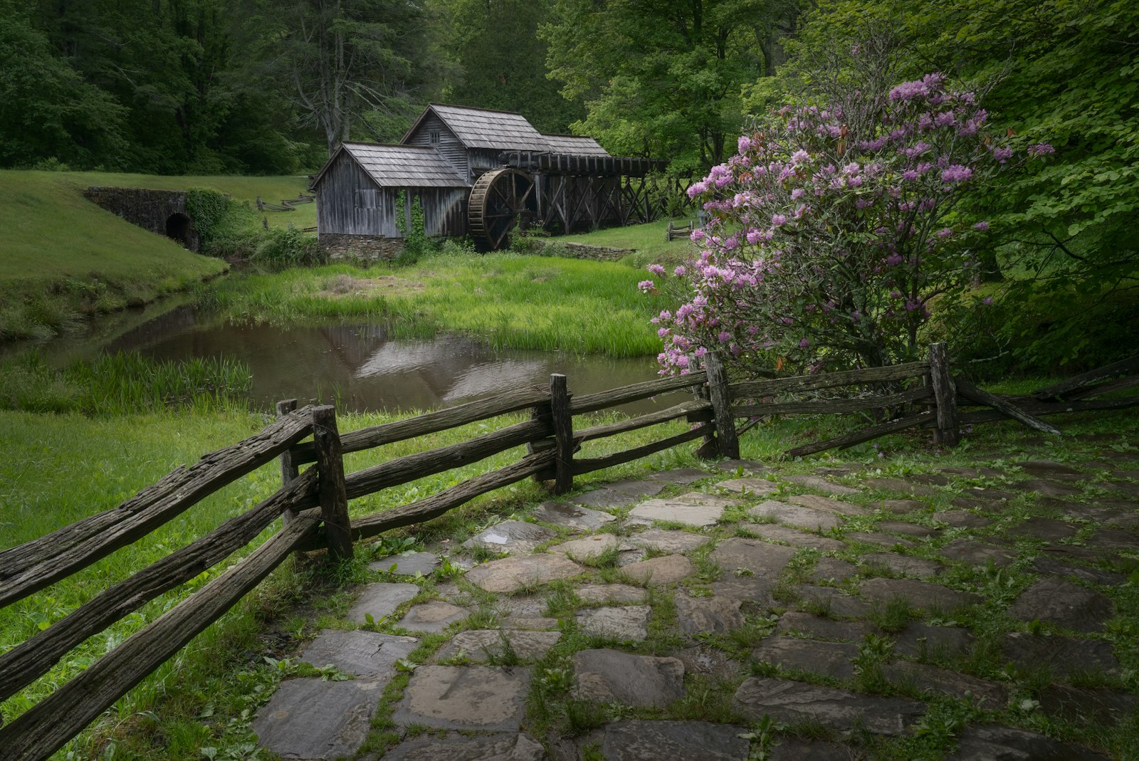 Mabry Mill's millpond reflection near mile 176.2, the Virginia section's most-photographed stop.