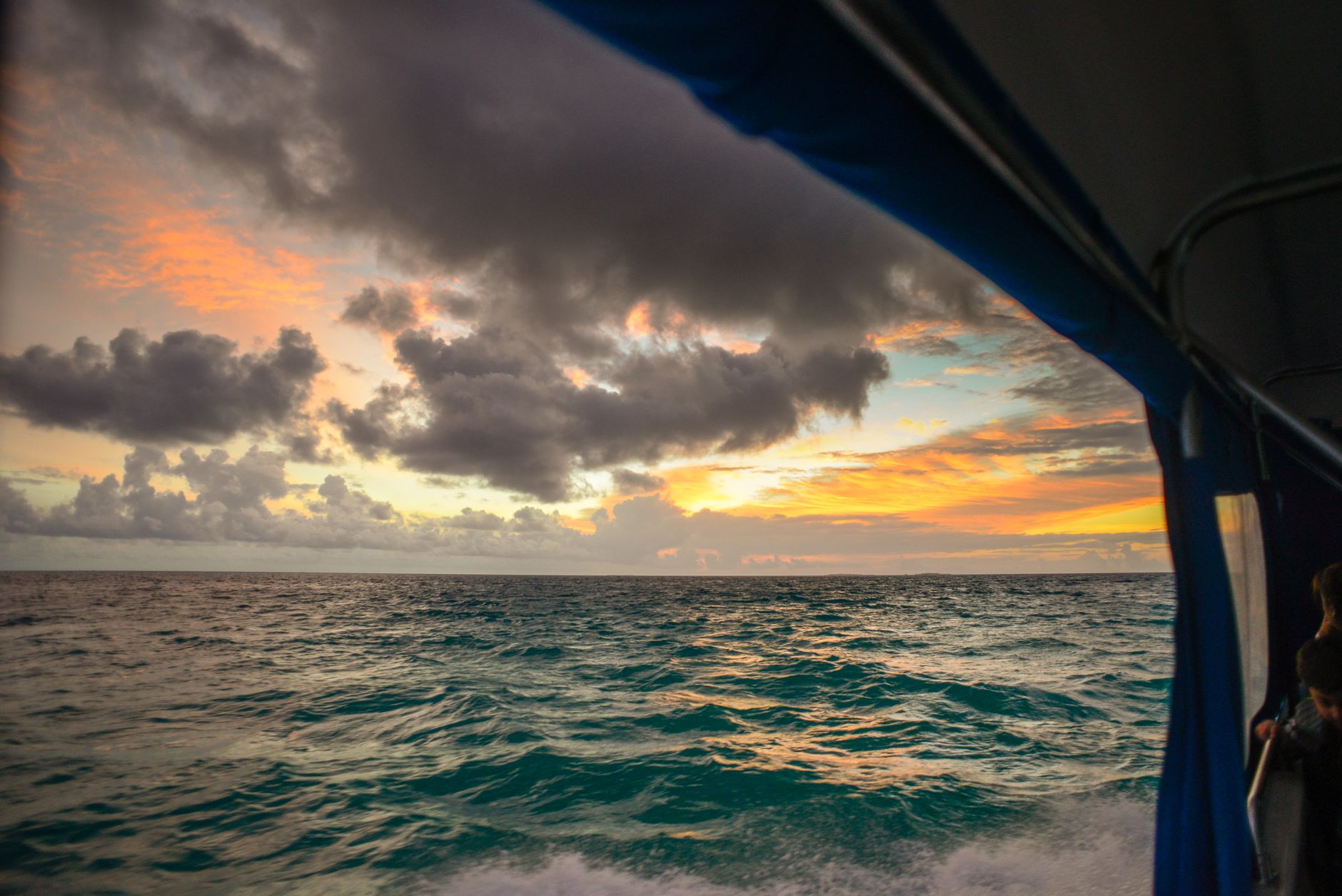 Local Culture and Dolphin Cruise