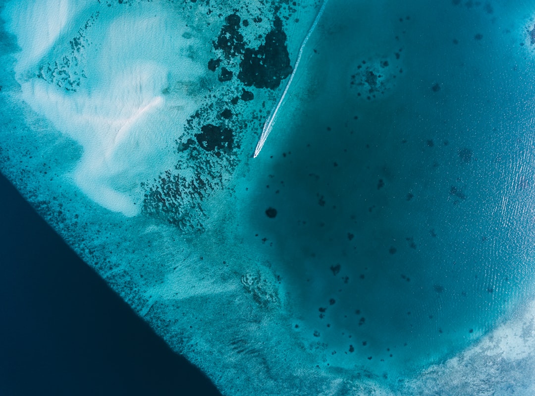 Island Exploration and Culinary Adventures